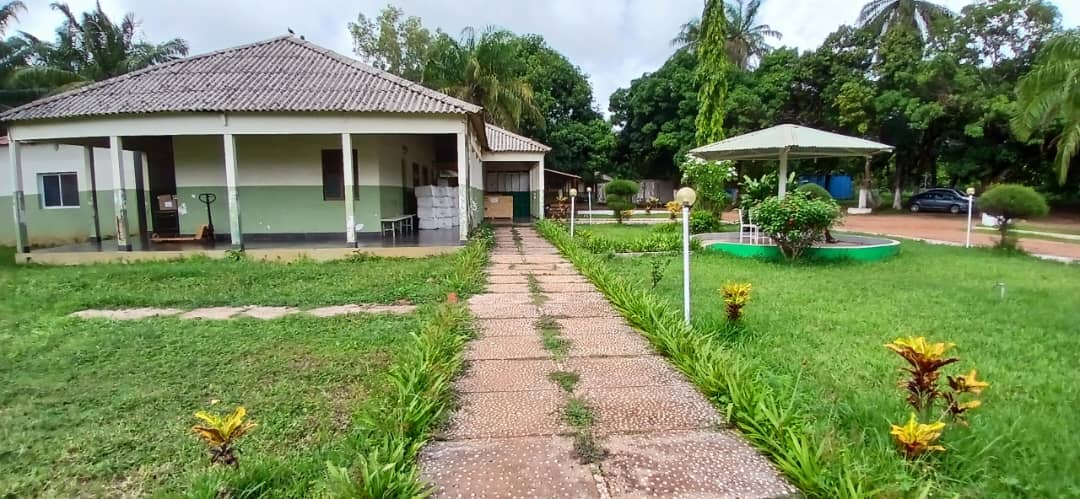Doação de medicamentos